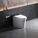 2025 Smart Toilet Buying Guide