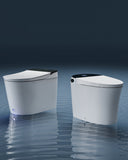 How to Choose the Right CANEST Smart Toilet for Your Home (2025 Buying Guide)