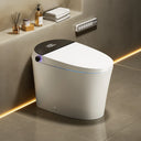 CANEST® Smart Toilet | TC-100GE