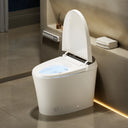 CANEST® Smart Toilet | TC-100GE