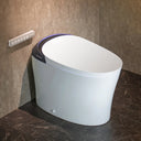 CANEST®  Smart Toilet | ‎FC-001PRO