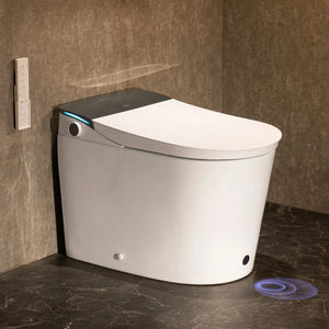 CANEST®  Smart Toilet | ‎FC-002PRO