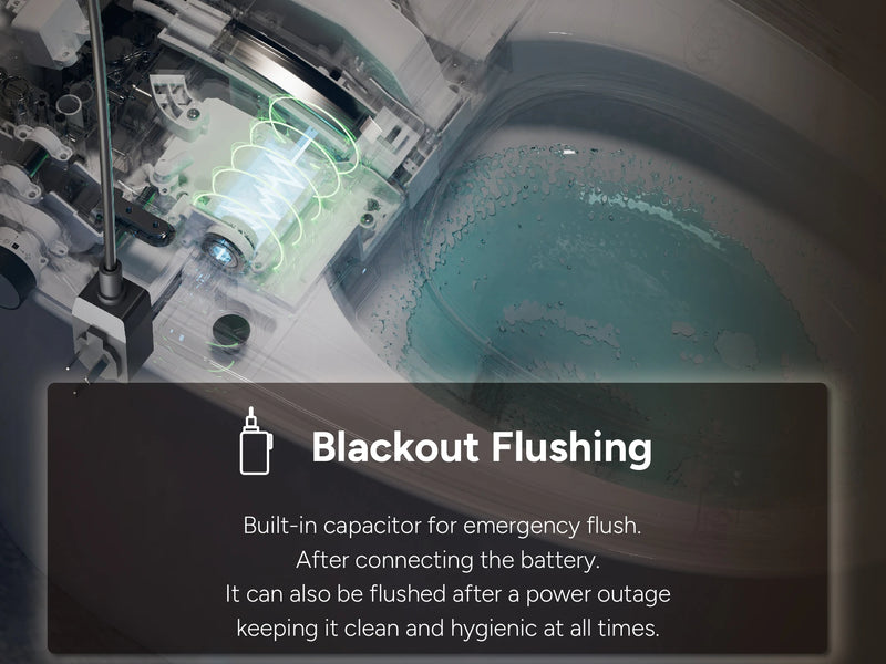 CANEST TC-300BK Blackout Flush