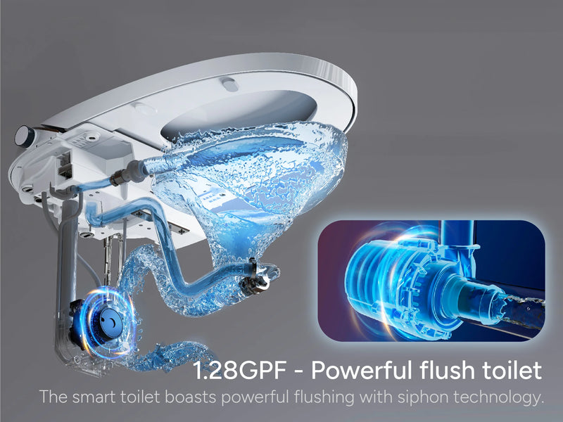 CANEST TC-300BK Powerful Flush