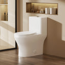 CANEST®  One Piece Toilets | DL-001
