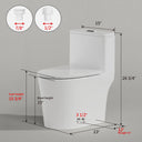 Dimension diagram of CANEST DL-002 toilet showing height, width, depth, and rough-in measurements