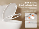 DL-001 Toilet Lid – Replacement Seat & Cover