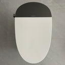 Tapa de inodoro inteligente – TC-100GE