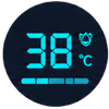 Large LED Display