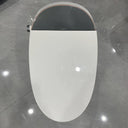 Smart Toilet Lid – TC-400BK