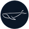 Whale-Inspired Design
