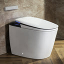 CANEST Smart Toilet | TC-900