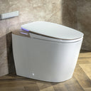 CANEST Smart Toilet | TC-900