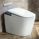 CANEST Smart Toilet | TC-900